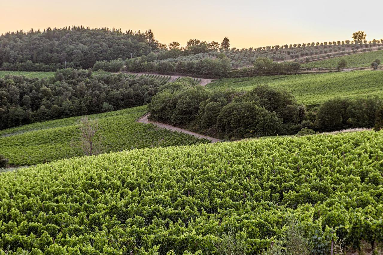 Agriturismo Concadoro Villa Castellina in Chianti Kültér fotó