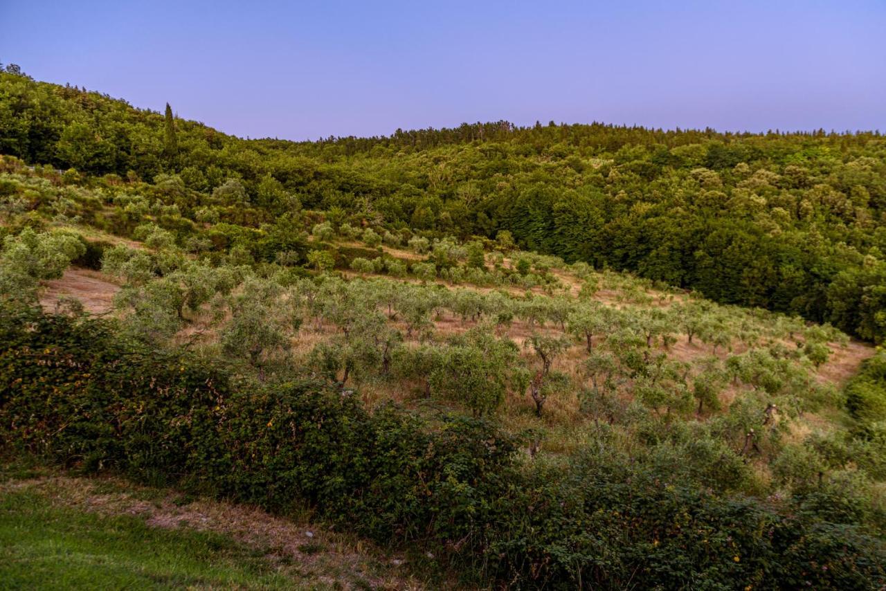 Agriturismo Concadoro Villa Castellina in Chianti Kültér fotó