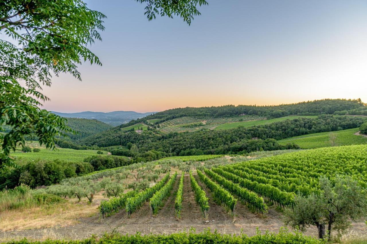 Agriturismo Concadoro Villa Castellina in Chianti Kültér fotó