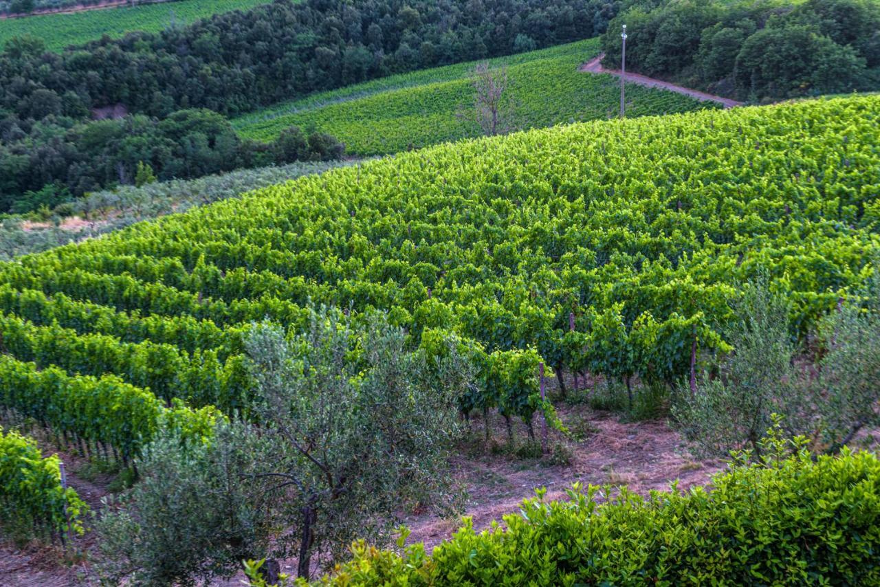 Agriturismo Concadoro Villa Castellina in Chianti Kültér fotó